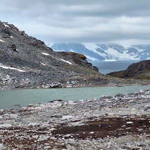 Recently re-exposed mosses, photographed in 2024 by Prof Peter Convey. These mosses had been covered by ice for around a thousand years.(Source:  Prof Peter Convey)