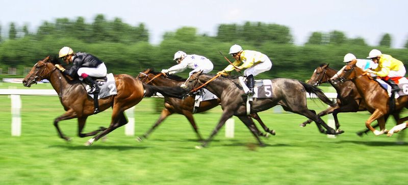 Ein Wirtschaftsinformatiker, ein Mathematiker und ein Physiker sind beim Pferderennen. Sie überlegen, ob es möglich ist, zu berechnen, welches Pferd gewinnt. Nach einer Woche treffen sie sich wieder.  