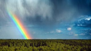 Nach der Euphorie muss nun Struktur in die Cloud-Projekte gebracht werden, damit diese nicht von vorneherein zum Scheitern kommen. (Bild: © MadCat13Shoombrat - stock.adobe.com)