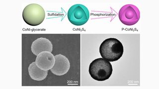 Effiziente Wasser- und Harnstoffelektrolyse an bimetallischen Dotter/Schale-Nanopartikeln. (Wiley-VCH)
