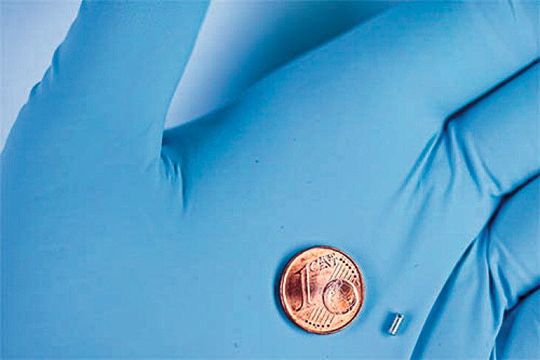 Die untersuchten Schrauben sind winzig klein: Ihr Durchmesser beträgt 2 Millimeter.(Bild:  Hereon/ Björn Wiese)