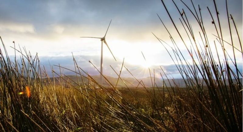 (Quelle:  Inter IKEA Systems B.V. 2021)