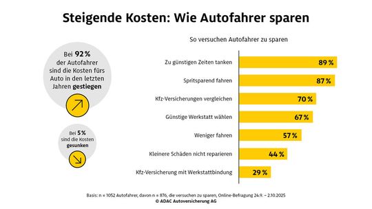 Die Autofahrer suchen nach Einspar-Möglichkeiten. Ganz oben stehen die direkt spürbaren Kraftstoffkosten. Viele Sparansätze werden letztlich zu Einschnitten in den Kfz-Werkstätten führen (zum Vergrößern Bild klicken).(Bild:  ADAC)