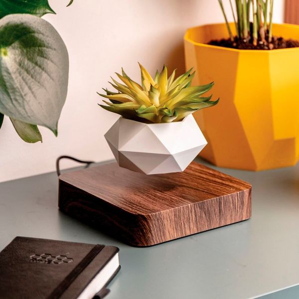 Macht sich auf jeden Fall gut unterm Weihnachtsbaum: der schwebende Design-Blumentopf. Der Blumentopf schwebt und rotiert durch den Magneten in der Basis langsam um die eigene Achse. Die Rotation ermöglicht es der Pflanze, Sonnenlicht an allen Seiten zu erhalten und schiefes Wachstum zu reduzieren. (99,95 Euro bei Radbag) (Bild: www.radbag.de)