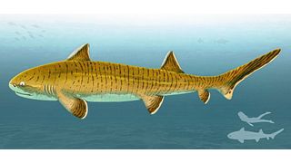 Künstlerische Lebendrekonstruktion des hybodontiformen Haies Asteracanthus. Silhouetten am rechten unteren Bildrand dienen als Größenmaßstab.  (Bild: © Sebastian Stumpf/Fabrizio De Rossi)