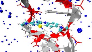 Dem Team um Juan J. Nogueira, Markus Oppel und Leticia González ist es gelungen, den Mechanismus der Singlettsauerstofferzeugung von Methylenblau, eingebettet in den DNA-Strang, aufzuklären. (Bild: Universität Wien)