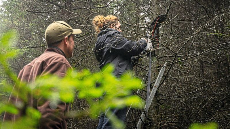 IoT-Sensoren (Hula BioT) im Einsatz: kontinuierliche Datenerhebung zu Vegetation, Ökosystemgesundheit, Biodiversität, Bioakustik und menschlichen Aktivitäten.(Bild:  Hula Earth)