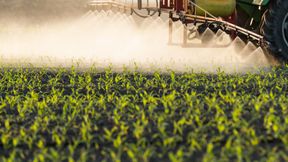 Abb. 1: Fungizide, Herbizide, Insektizide ... jährlich gelangen mehrere zehntausend Tonnen Pestizide (Pflanzenschutzmittel) allein auf deutsche Äcker. Und damit potenziell auch in unsere Lebensmittel. Eine umfassende Analytik ist im Sinne des Verbraucherschutzes daher essenziell. (Symbolbild) (Bild: © Dusan Kostic – stock.adobe.com)