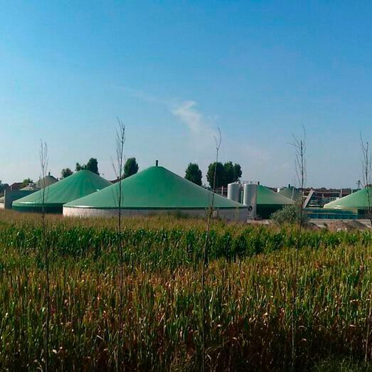 Biogas originates from plant material that has absorbed CO2 from the atmosphere in this way.