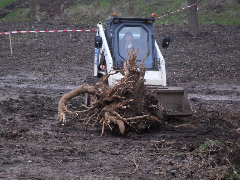 (Quelle:  Doosan Bobcat EMEA)