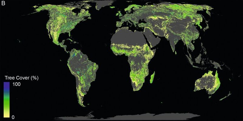 Diese Fläche ist für die Wiederaufforstung von Wäldern verfügbar (ohne bestehende Wälder, Landwirtschaftsflächen, Wüsten und Städte). (Crowther Lab / ETH Zürich)