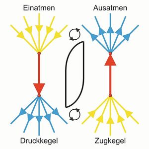 Abb. 2b: Zeichnet man an die Enden der vertikalen schubeinleitenden Kräfte jeweils den Kraftkegel, so erkennt man die auf Ausgleich bedachte Wirkung der Wirbel (unten). Im Druckkegel ist das Material verdichtet, im Zugkegel jedoch ausgedünnt. Die Wirbel rühren nun „ausgeatmetes“ Material aus dem Überfluss des Druckkegels in die materialhungrige Zone des „einatmenden“ Zugkegels. Sie nehmen den Reichen und geben den Armen. Damit werden Spannungen begrenzt und das Versagen verzögert. (Bild:  Mattheck)