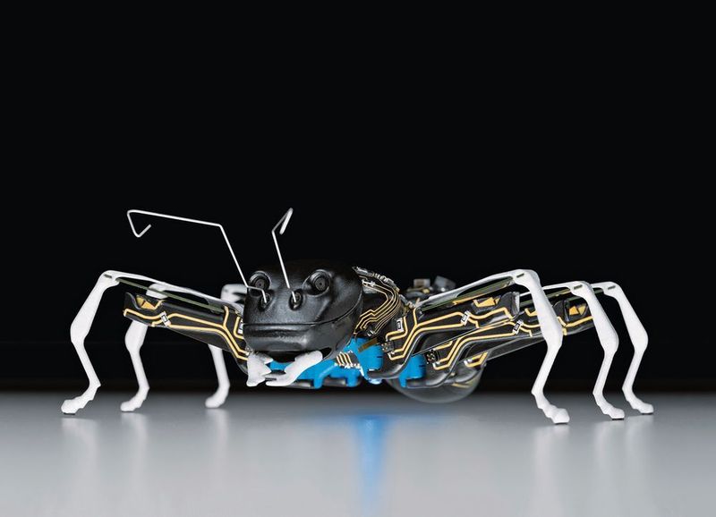 Beim Bionic Learning Network von Festo geht es darum, von der Natur zu lernen und zu versuchen, bionische Prozesse in Automatisierungslösungen zu übersetzen.  (Festo)
