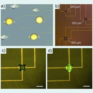 2 (a) Schematische Darstellung der Positionierung von 3D-Gewebemodellen in Mikrokavitäten verschiedener Dimensionen, (b) mikroskopische Aufnahme des Ausschnittes eines Chips mit Kavitäten der Größen 200, 300 und 400 µm. Mikrokavitäten mit Elektroden und Leiterbahnen; (c) „leere“ Kavität (unbedeckte Elektroden), (d) Kavität mit zentral positioniertem 3D-Melanomasphäroid; Balken = 200 µm.