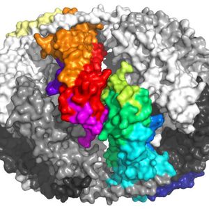 (Bild: Tilly Fleckenstein / TUM)