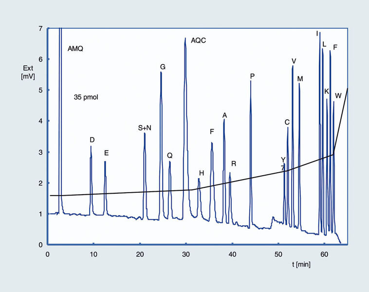 Abb.3: Optimierte Trennbedingungen auf ODSPhase. Stationäre Phase: GROM Saphir 110 C18, 3 µm; Säule: 150 x 2 mm; Eluent A: 50 mM Na-Acetat-Puffer pH 5,75; Eluent B: 70% ACN, 30% Na-Acetat pH 6; Gradient: 2,5% B (0–2,5 min), 2,5–6% B (2,5–30 min), 6 –18%
B (30–50 min), 18–23% B (50–55 min);
23–28% B (55–60 min), 28–100% B(60–65 min), 100% B (65–70 min), 100–2,5% B (70–72 min); Fluss (lin. vel.): 1,86 mm/sek; Druck: 23,5 MPa; Temperatur: 45°C; Detektion(UV): 254 nm; Flusszelle: 1,2 µL/3 mm;
Injektion: 1 µL Standard ( 1 µL~5 ng je
Aminosäure) (Archiv: Vogel Business Media)