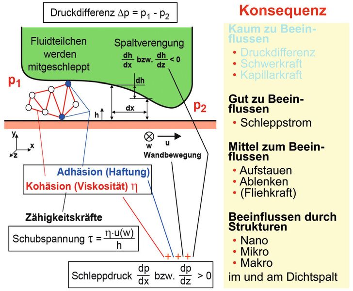 Dieses Bild zeigt stark vereinfacht die physikalischen Zusammenhänge in einem engen Dichtspalt. Infolge Adhäsion (Anhangskraft) haften die wandnächsten Fluidteilchen an der Spaltwand und haben immer Wandgeschwindigkeit. (Bild: Universität Stuttgart)