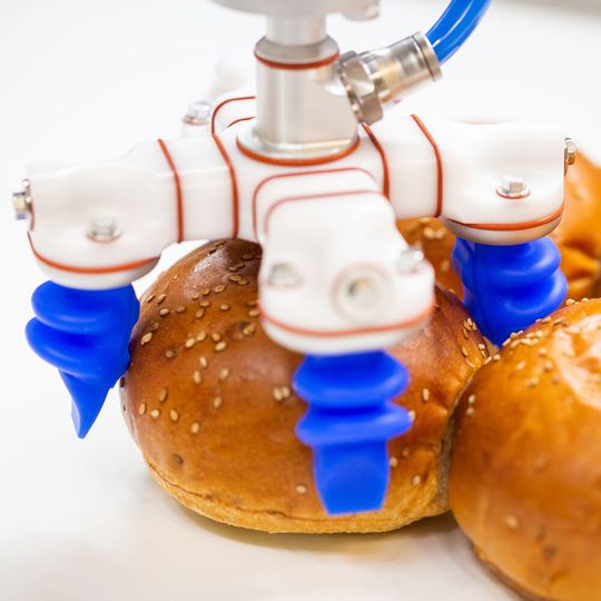 Soft-Greifer aus elastomeren Kunststoffen(Bild:  © Jennifer Bakos 2019)