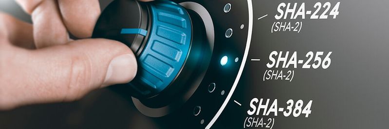 Viele Active-Directory-Zertifikatsdienste nutzen noch SHA-1. Höchste Zeit also, jetzt auf SHA-2 und eine neue Certification Authority umzustellen.(Bild:  © Olivier Le Moal - stock.adobe.com)