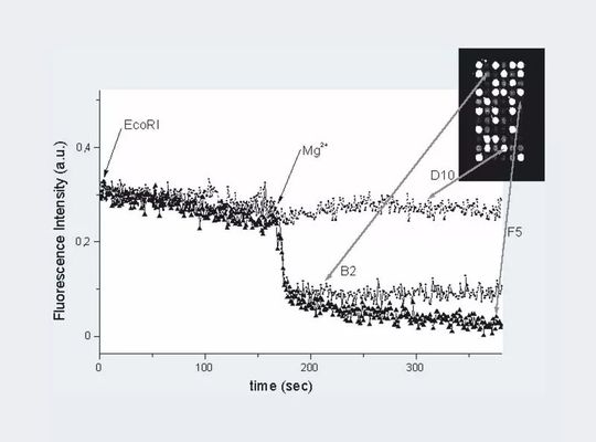Abb.3: Kinetikstudie auf dem Chip(Bild:  Archiv: VCG)