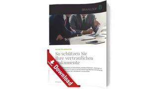 Whitepaper Cover: Brainlopp/WP (Brainlopp/WP)