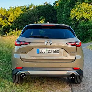 Das Sondermodell Newground besitzt einen silbern lackierten (Fake-)Unterfahrschutz sowie ...(Bild:  Mauritz – »kfz-betrieb«)