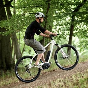 (Bild: Riese & Müller)