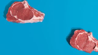 Bei häufigen Reinigungszyklen von Lebensmitteltransportbändern im Produktionsprozess bieten die neuen Bandtypen aufgrund ihrer sehr guten Hydrolysebeständigkeit und der damit erhöhten Standzeit einen zusätzlichen Nutzen für die Anwender. (Bild: Forbo)