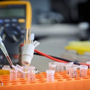 (© Roberto Schirdewahn)