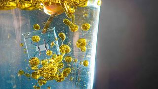 Organ-on-Chip-System: Der neue Adipositas-on-Chip der Arbeitsgruppe um Prof. Dr. Peter Loskill vom NMI in Reutlingen bildet das weiße Fettgewebe im Mikrometermaßstab ab und integriert erstmals verschiedene Zellkomponenten in einem Chip-System. (NMI)