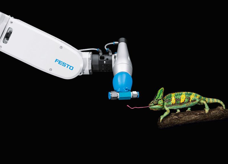 Blick in die Technologiefabrik von Festo in Scharnhausen: Übertragung der Funktionsweise der klebrigen Zunge in die technische Welt. (Bild: Festo)