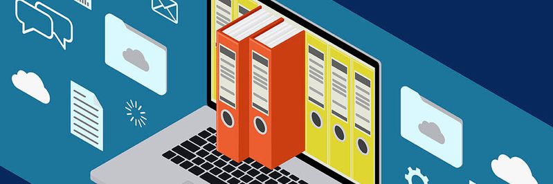 In Schleswig-Holstein können Bürger rund 100 Dienstleistungen digital erledigen(©  Suelzengenappel – stock.adobe.com)