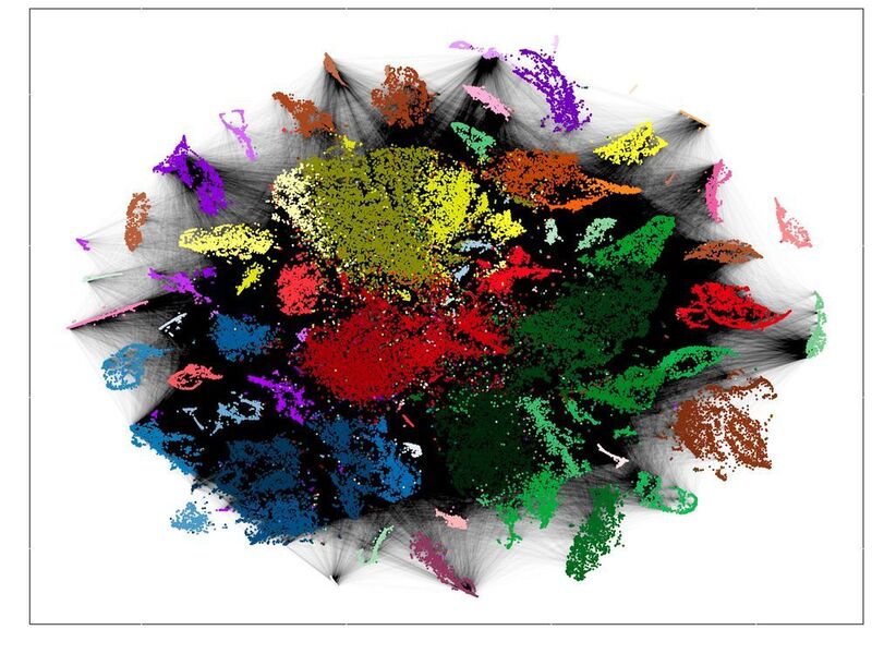 Technologien wie die RNA-Sequenzierung zeigen, welche Gene in jeder einzelnen Zelle abgelesen werden. Anhand ähnlicher Expressionsprofile wurden sie hier nach Farben geordnet. Die schwarzen Striche symbolisieren jeweils eine gemeinsame Herkunft der Zellen. Aus diesen Daten rekonstruierten die Forscherinnen und Forscher die Stammbäume. (© Junker Lab, MDC )