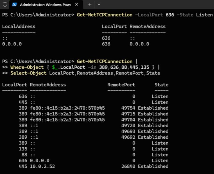Aktive LDAP-, Kerberos- und SMB-Verbindungen während des Betriebs. (Bild: Joos)
