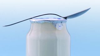Abb. 1: Fermentierte Produkte wie Joghurt enthalten häufig probiotische Keime, von denen eine gesundheitsfördernde Wirkung ausgehen soll. (Archiv: Vogel Business Media)