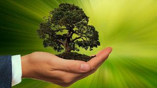 OVHcloud verfügt über 400.000 Server in 31 Rechenzentren auf vier Kontinenten. Um den ökologischen Fußabdruck zu verkleinern habe man bereits 2003 in den hauseigenen Rechenzentren Wasserkühlung eingeführt. (Bild: gemeinfrei© Gerd Altmann)