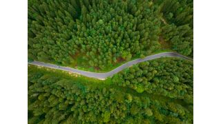 Renewable diesel is a low-carbon fuel made from renewable sources and is chemically identical to regular petroleum diesel.  (Source: Sepia100 - stock.adobe.com)