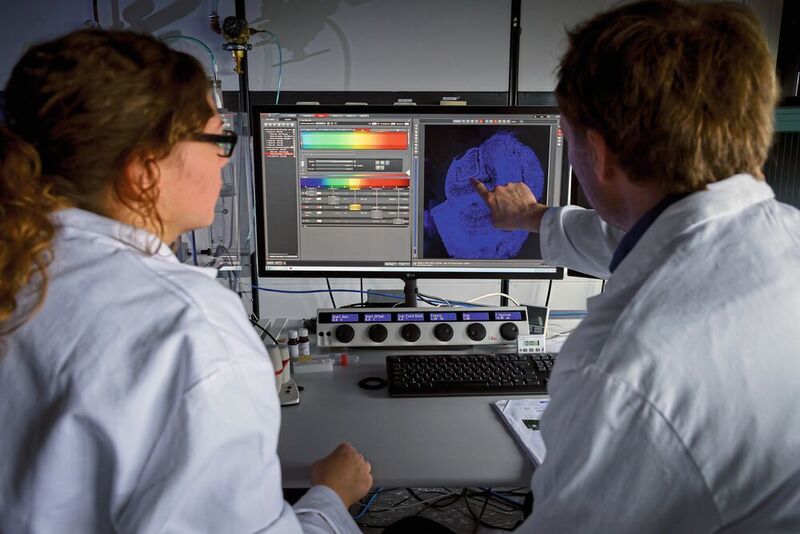 Sophia Meermeyer und Thorsten Müller untersuchen einen Gehirnschnitt aus dem menschlichen Hippocampus. Dieses Gewebe ist von Morbus Alzheimer mit am ehesten betroffen. Blau angefärbt sind die Zellkerne. (Roberto Schirdewahn)