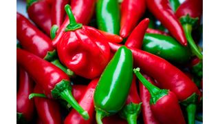Habanero peppers respond to stress with changes in metabolites. (Source: Pixabay)