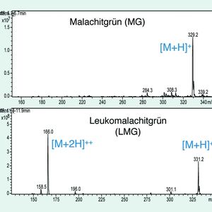Abb. 3 Massenspektren von Malachitgrün und Leukomalachitgrün: LMG bildet zusätzlich zum einfach geladenen molekularen Ion [M-H]+ ein doppelt geladenes Ion [M-2H]++.