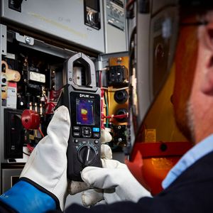 (Paws & Smiles Photography/Flir)