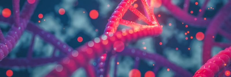 Forschende aus Dresden haben eine neue Methode entwickelt, um präzise und anpassbare Genom-Editierungswerkzeuge zu schaffen. (Symbolbild)(Bild:  catalin - stock.adobe.com)