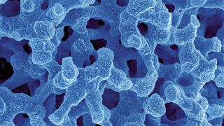 Monolithische Materialien weisen eine bimodale Porenverteilung auf. Die im Bild zu sehenden Kanäle sind rund 2 µm groß. Die in der Aufnahme blau dargestellte Materialoberfläche weist  wiederum kleinere Poren auf, die im Bereich von 13 nm liegen. (Merck KGaA)