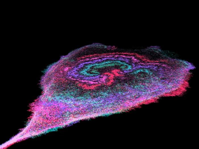 Wellen lassen Krebs wachsen  Forscher von Johns Hopkins Medicine haben energiereiche „Stromstöße“ auf den Membranen von Krebszellen entdeckt, die das Fortschreiten der Krankheit unterstützen können. Diese Wellen entstehen durch die durch rhythmische Ausbreitung von Enzymen, die Energie aus Glukose gewinnen.  Die Wissenschaftler fanden dabei heraus, dass die Wellen bei aggressiven Formen stärker ausgeprägt sind. Sie könnten also helfen, Krebsstadien besser zu unterscheiden. In Laborexperimenten mit menschlichen Krebszellen fanden die Wissenschaftler heraus, dass Krebszellen weitgehend auf diese Energiequellen angewiesen sind. Eine Unterbrechung könnte das Wachstum und die Verbreitung dieser Krebszellen verlangsamen oder gar stoppen.  Auf dem Bild zu sehen sind glykolytische Wellen, die die Migration von Krebszellen antreiben und sie mit Energie versorgen. Das Bild, wurde mit einem Hochleistungsmikroskop in Abständen von neun Minuten aufgenommen und zeigt farbcodiert (grün, blau, lila, pink, rot) die Wellenaktivität von frühen bis späten Zeitpunkten.  Hier gehts zur Originalmeldung Wissenschaftsbild des Tages vom 15.7.2025  (Bild: )