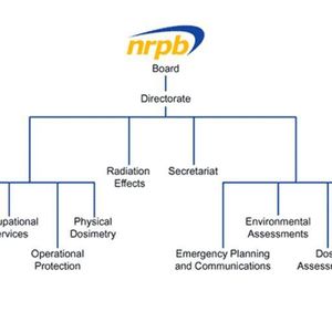 Abbildung 1: Struktur des National Radiological Protection Board; Bild: Dr. Franz-Joachim Kauffels