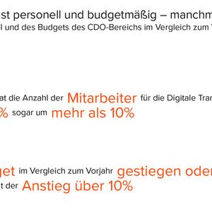 Der CDO-Bereich wächst personell und budgetmäßig.(Bild:  TMG Consultants)