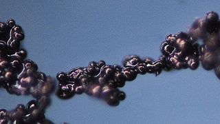 Farbstoffanhäufungen in der Tinte führen zu Verstopfungen im Druckkopf, sodass nicht gedruckt werden kann und die Düsen wieder gereinigt werden müssen. Produktionsstillstände können die Folge sein. (Domino)