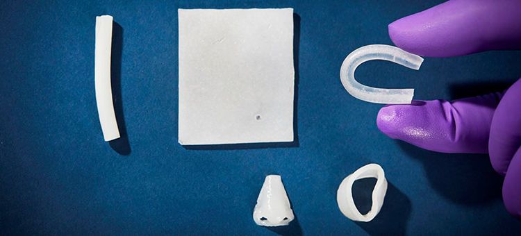 ​Chalmers researchers have developed a new material that could be suitable for various medical applications. The 3D printed ‘nose’ above, for example, shows how the material could act as a possible replacement for cartilage.​  (​Chalmers)
