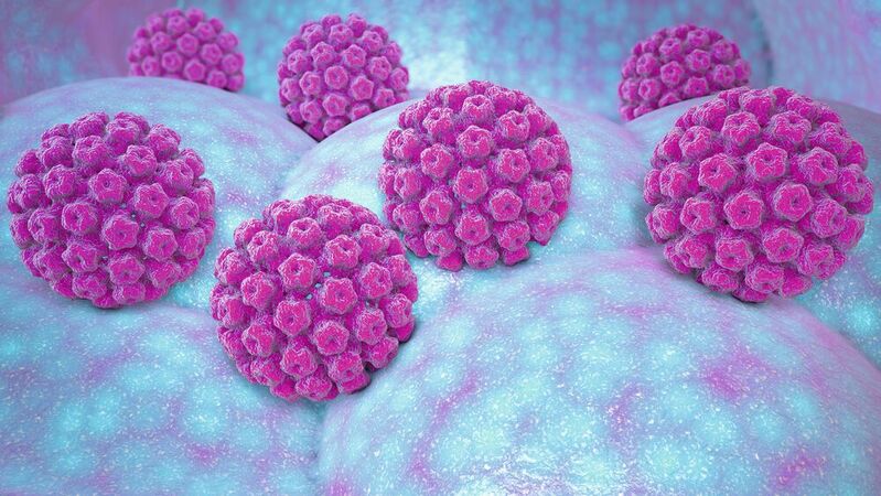 Eine Infektion mit dem Humanen Papillomavirus (HPV) kann Karzinome hervorrufen.