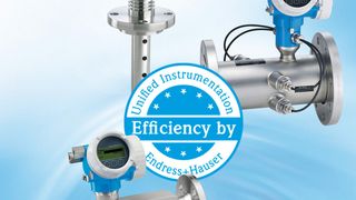 Ein einheitliches Gerätekonzept für Durchfluss und Füllstand erhöht in Biogasanlagen die Sicherheit und senkt die Kosten. (Bild: Endress+Hauser)